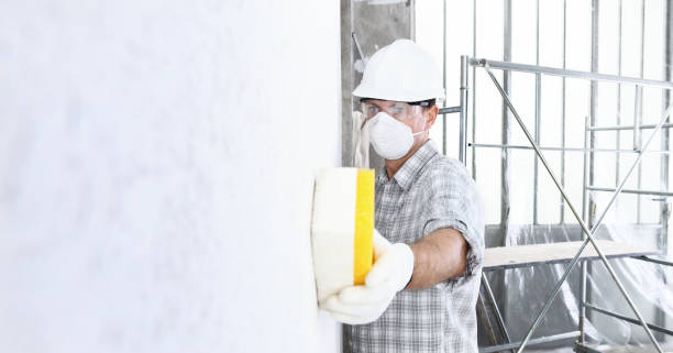 Best Post-Construction Mold Inspection  in Fort Bragg, CA